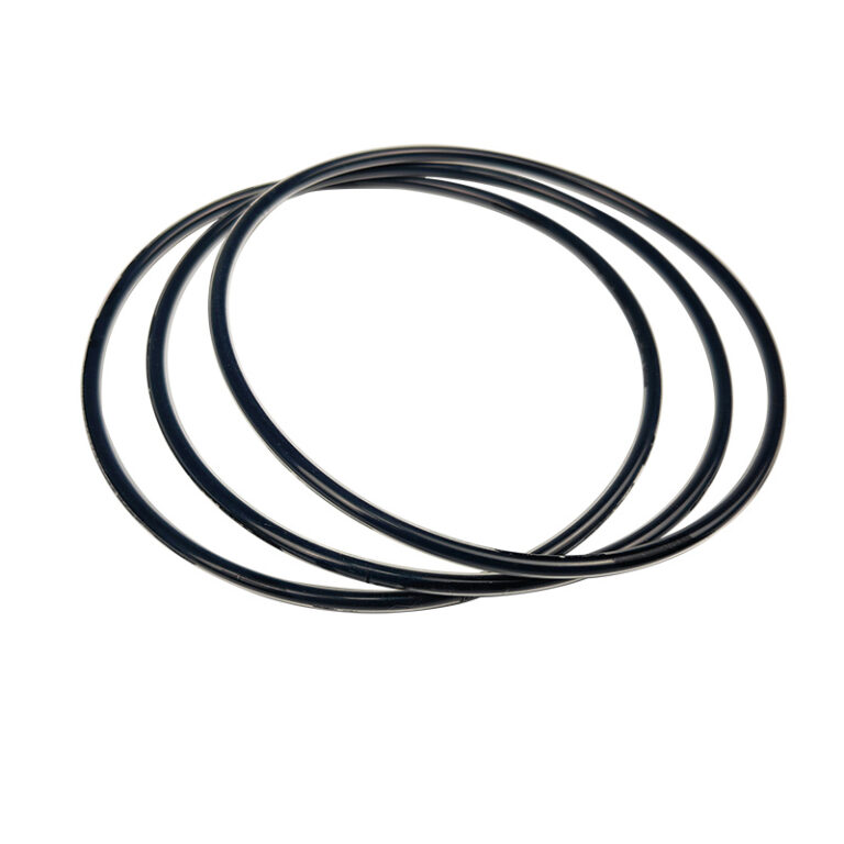 Fluorine Sealing Ring HGG521691